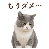 852718092