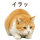 852718178