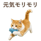 852718180