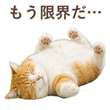 852718181