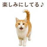 852718183