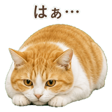 852718186