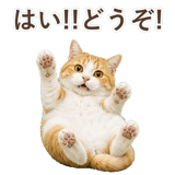 852718189