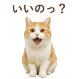 852718191