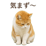 852718192
