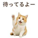 852718195