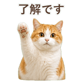 852718203