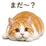 852718204