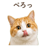 852718205