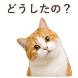 852718206