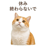 852718209