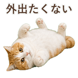 852718215