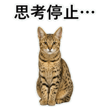 852718218