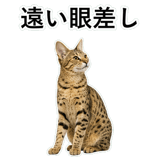 852718220