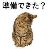 852718228