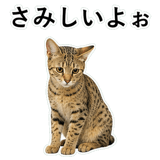 852718237