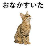 852718239