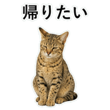 852718241