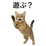 852718249