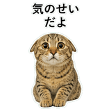 852718251
