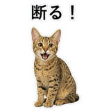 852718255