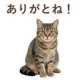 852718297