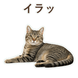 852718298