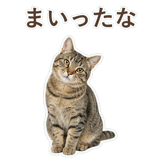 852718299