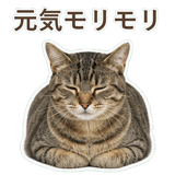 852718300