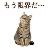 852718301
