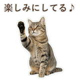 852718303