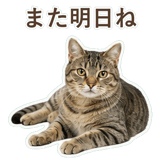 852718308