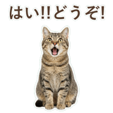 852718309