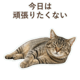 852718310