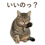852718311