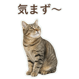 852718312