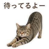 852718315