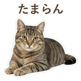 852718316