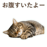 852718320