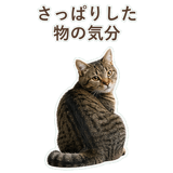 852718321