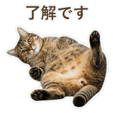 852718323