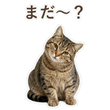 852718324