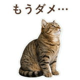 852718332