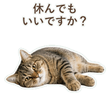 852718333