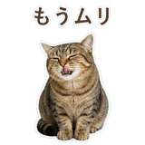 852718334