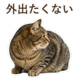 852718335