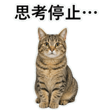 852718378