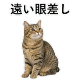 852718380