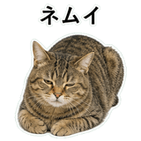 852718382