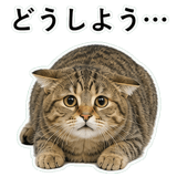 852718383
